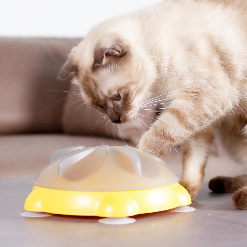 Educational Toys For Pets Entertainment Plate For Cats Snack Bowl Snack Storage Pet Supplies Cat Toys