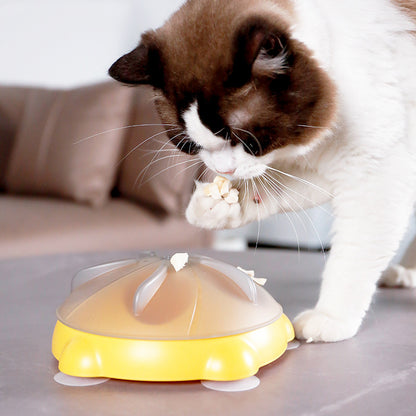 Educational Toys For Pets Entertainment Plate For Cats Snack Bowl Snack Storage Pet Supplies Cat Toys