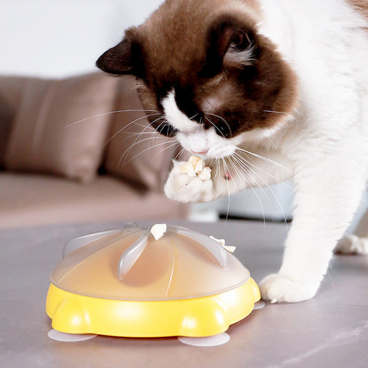 Educational Toys For Pets Entertainment Plate For Cats Snack Bowl Snack Storage Pet Supplies Cat Toys