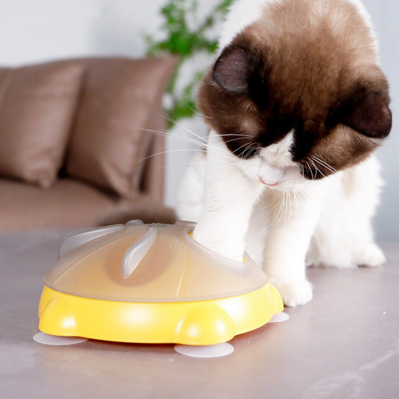 Educational Toys For Pets Entertainment Plate For Cats Snack Bowl Snack Storage Pet Supplies Cat Toys