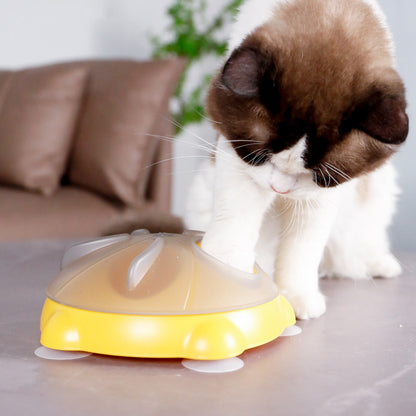 Educational Toys For Pets Entertainment Plate For Cats Snack Bowl Snack Storage Pet Supplies Cat Toys